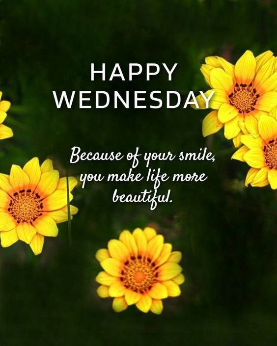 Good Morning Happy Wednesday Images - Good Morning Blessings