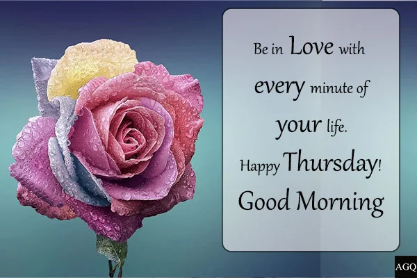 Good Morning Thursday Flowers Image