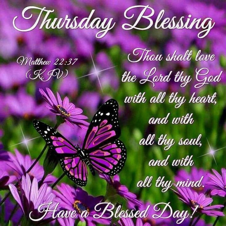 Good Morning Thursday Have A Blessd Day Pic - Good Morning Blessings