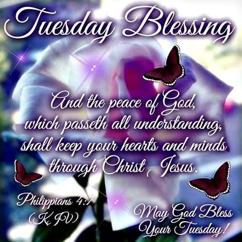 Good Morning Tuesday And Peace Of God Through Jesus Christ