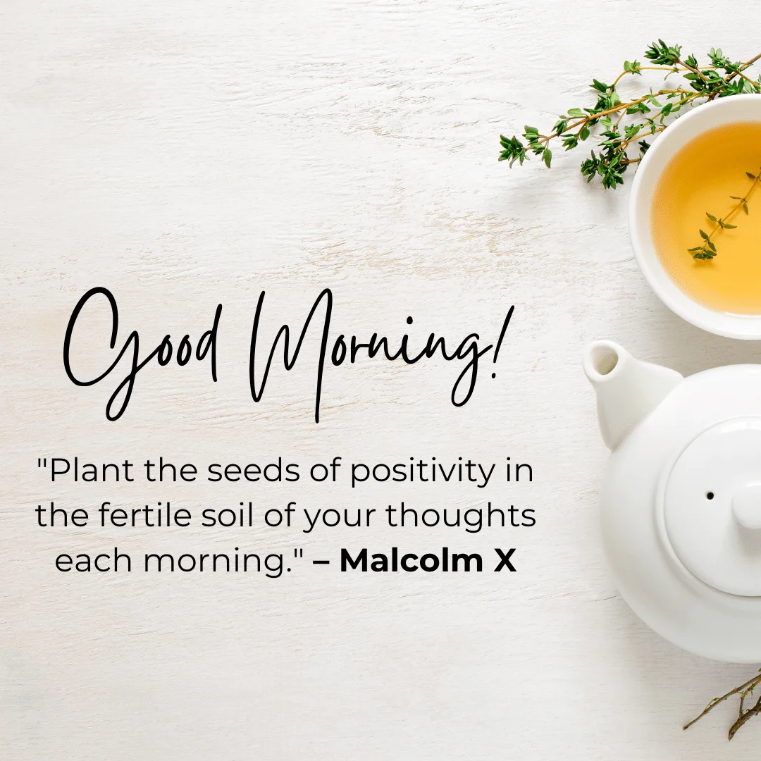 Plant The Seeds Of Positivity