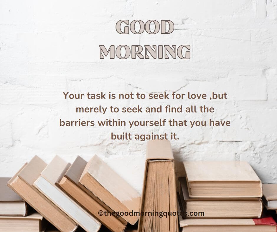 Your Task Is Not To Seek For Love